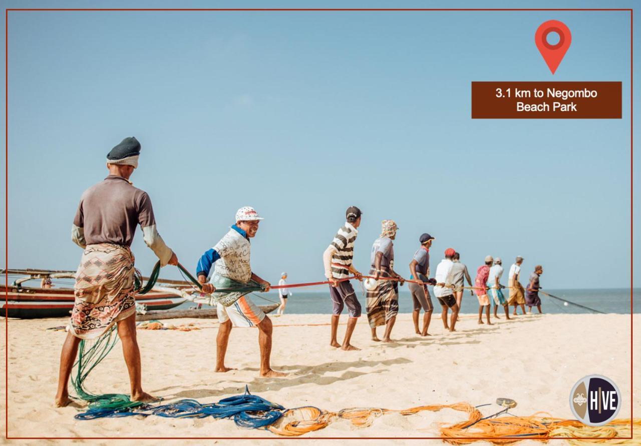 Hive 68 - Hotel And Resorts Negombo Dış mekan fotoğraf